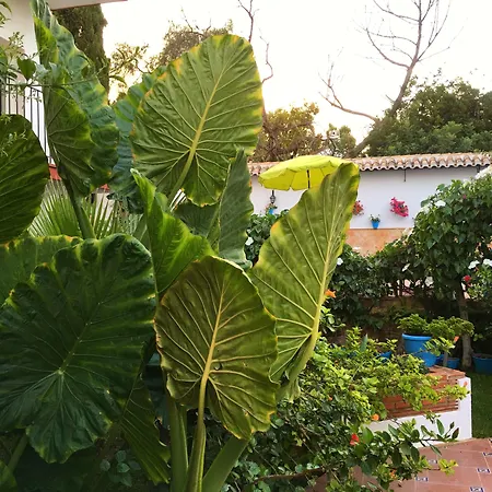Hotel Carmen Teresa-3