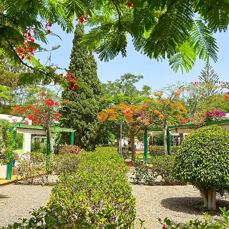 Bungalows Cordial Sandy Golf-3