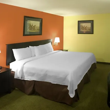 Americas Best Value Inn Waco - Franklin Avenue-2