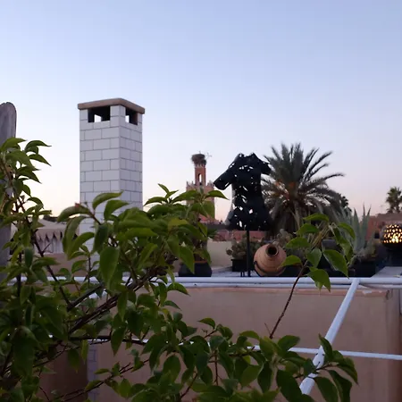 Riad Nafis-2