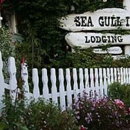 Seagull Inn-3