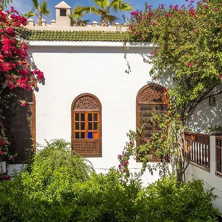 Riad Alma-3