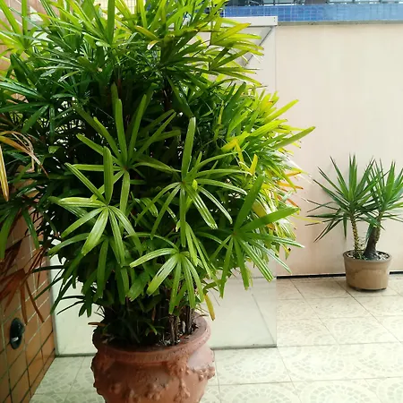 Spazzio Hotel Residence-3