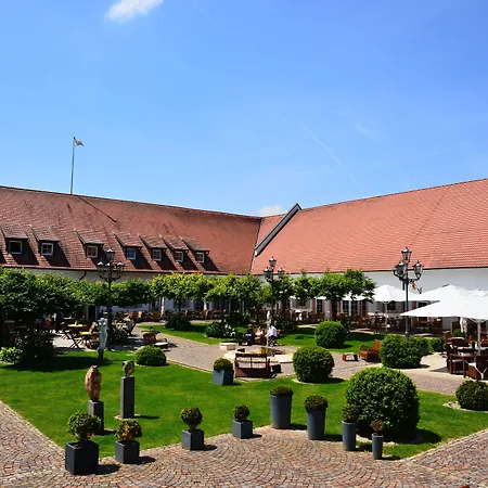 Schloss Reinach-3