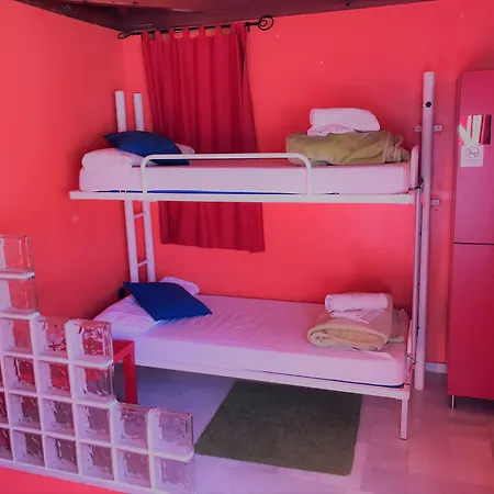 White Nest Hostel-3