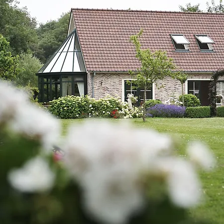 Villa Magnolia-3