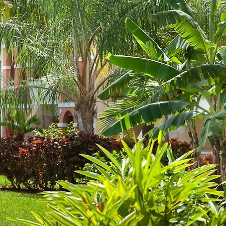 The Marlin At Taino Beach Resort-2