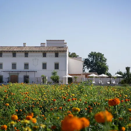 La Mozaira-3