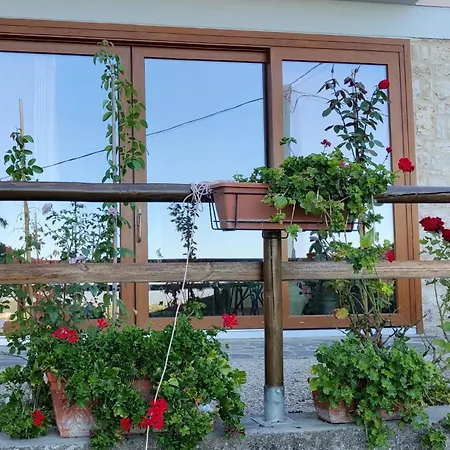 B&B Le Terrazze-3
