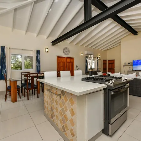 Boutique Hotel Swiss Paradise Aruba Villas And Suites-2