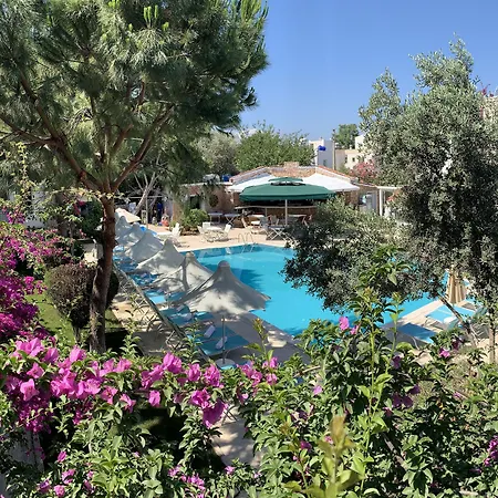 Moonshine Hotel & Suites-2