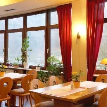 Hotel Zum Neckartal Heidelberg-2