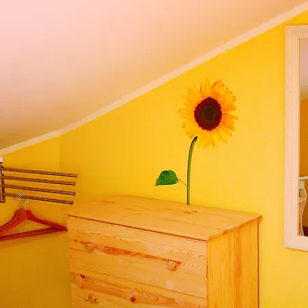 City-In Hostel B&B-2