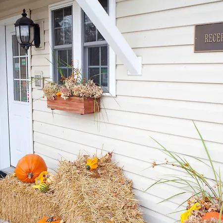 Seven Oaks Bed & Breakfast-3