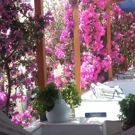 Doron Hotel Delfini-3