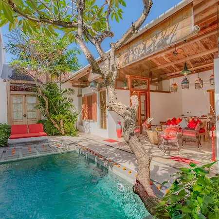Bali Ginger Suites & Villa-2