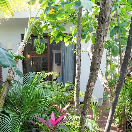 Lula Tulum, A Small Luxury Hotel-2