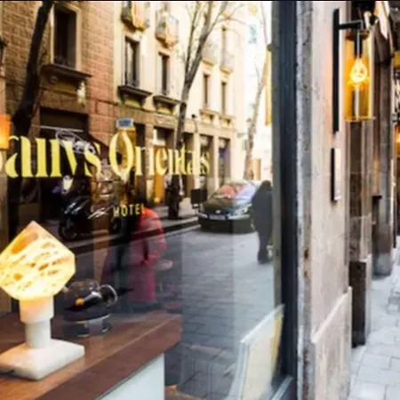 Hotel Banys Orientals-3