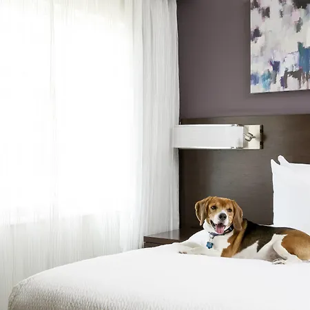 Residence Inn By Marriott West Palm Beach Downtown-2