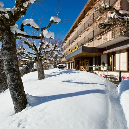 Hotel Jungfraublick-2