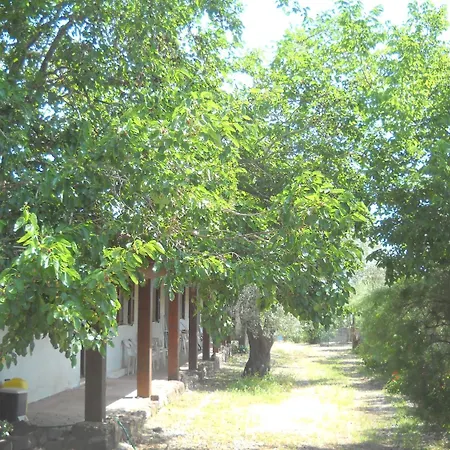 Agriturismo Su Tiresi-3