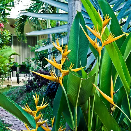 Battambang Resort-2