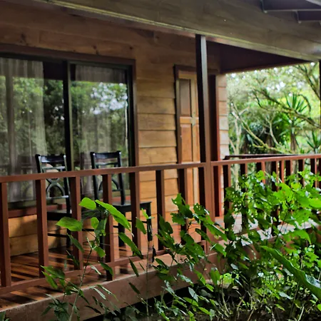 Jaguarundi Jungle Lodge - Monteverde-2