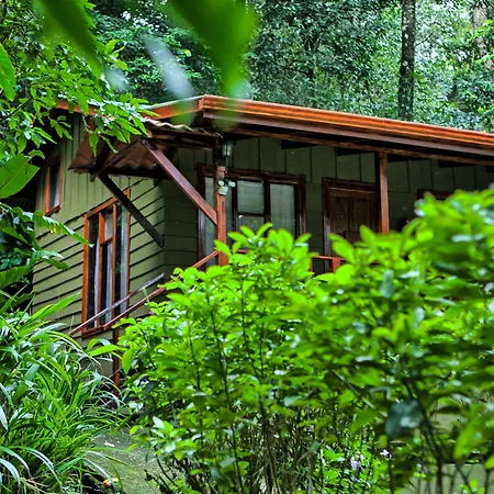 Jaguarundi Jungle Lodge - Monteverde-3