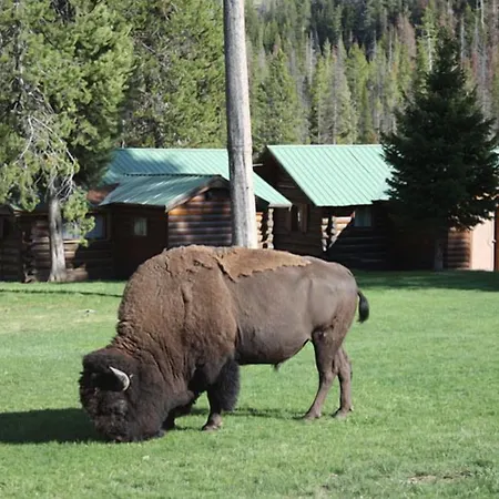 Pahaska Tepee Resort-2