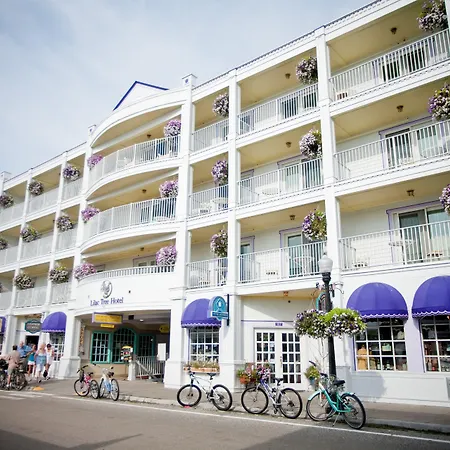 Lilac Tree Suites-3