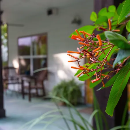 Brava House B&B-3