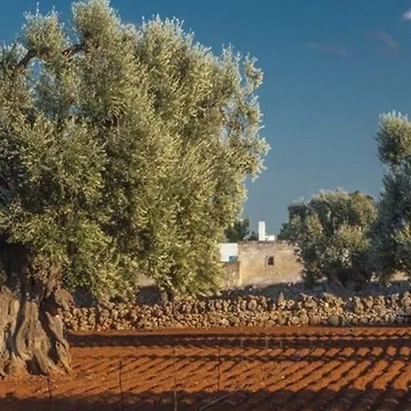 Masseria Fulcignano-2
