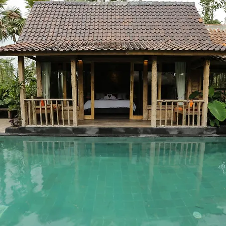 Ubud Virgin Villa-2