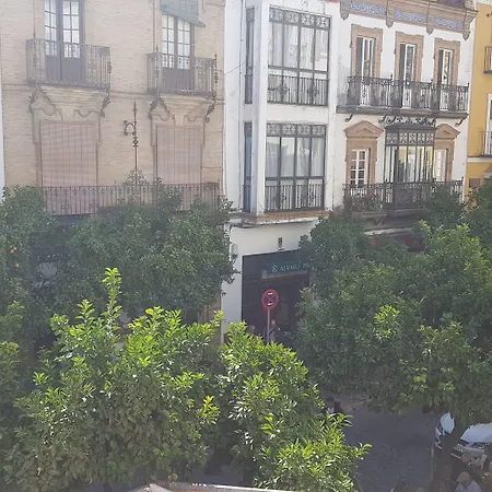 Isa Sevilla-2