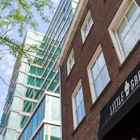 Little Grand-2