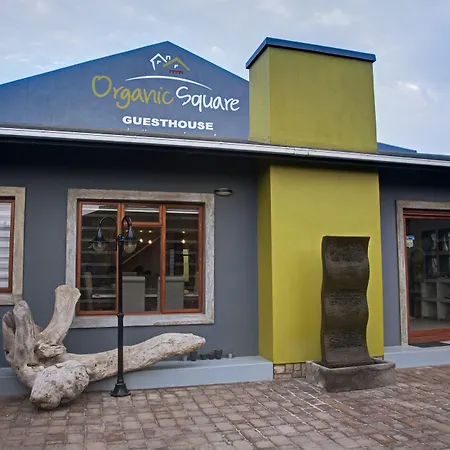 Organic Stay Guesthouse-3