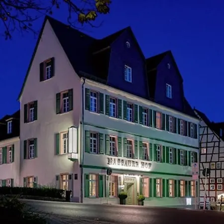 Hotel Nassauer Hof-3
