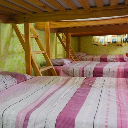 Amigos Hostel Cozumel-3