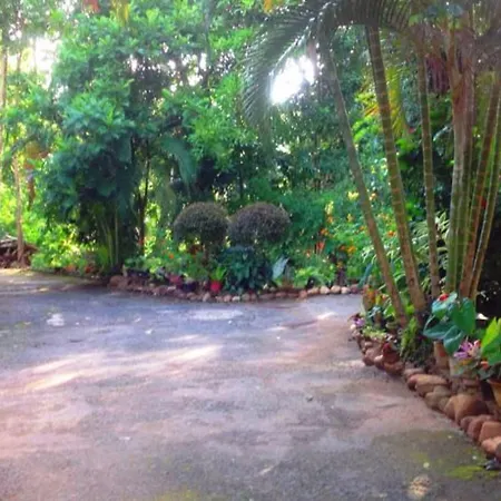 Tree Breeze Inn-3