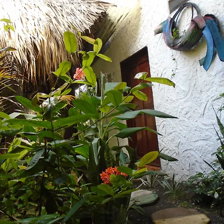 Marbella Eco Lodge-3