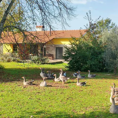 Casa Das Palmeiras-Pedagogic Farm-3