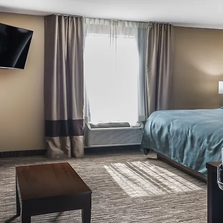 Mainstay Suites Edinburg South-3