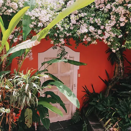 Casa Francisco-2
