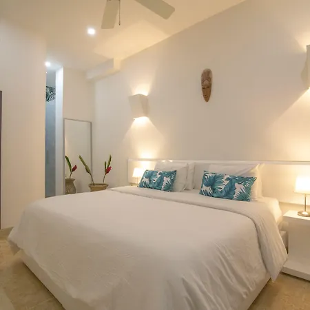 El Cactus Luxury Apartments In Historic Center-3