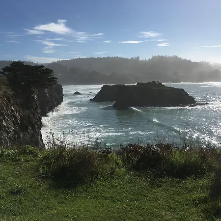 Mendocino Grove-2