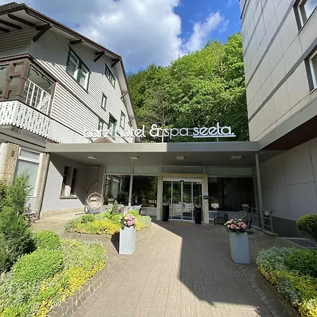 Harz Hotel&Spa Seela-2
