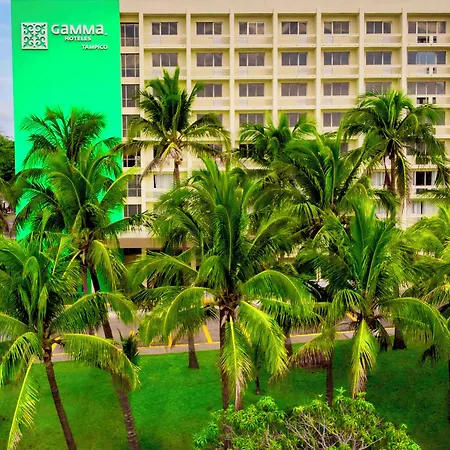 Gamma Tampico-2