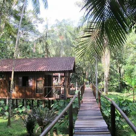 Glamping Mangarito-2