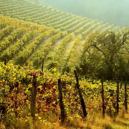 Cascina Desderi-3