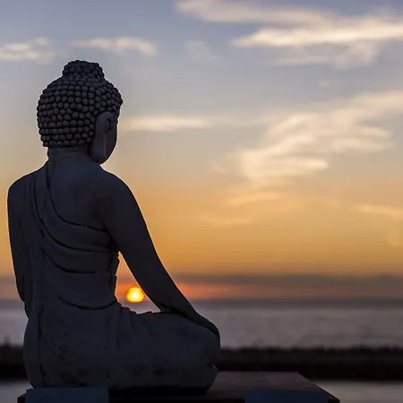 Sandhi House - Yoga & Wellness-3